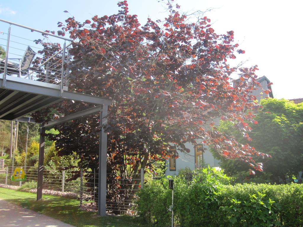 Apartment Haus Sembachtal Winterstein Luaran gambar