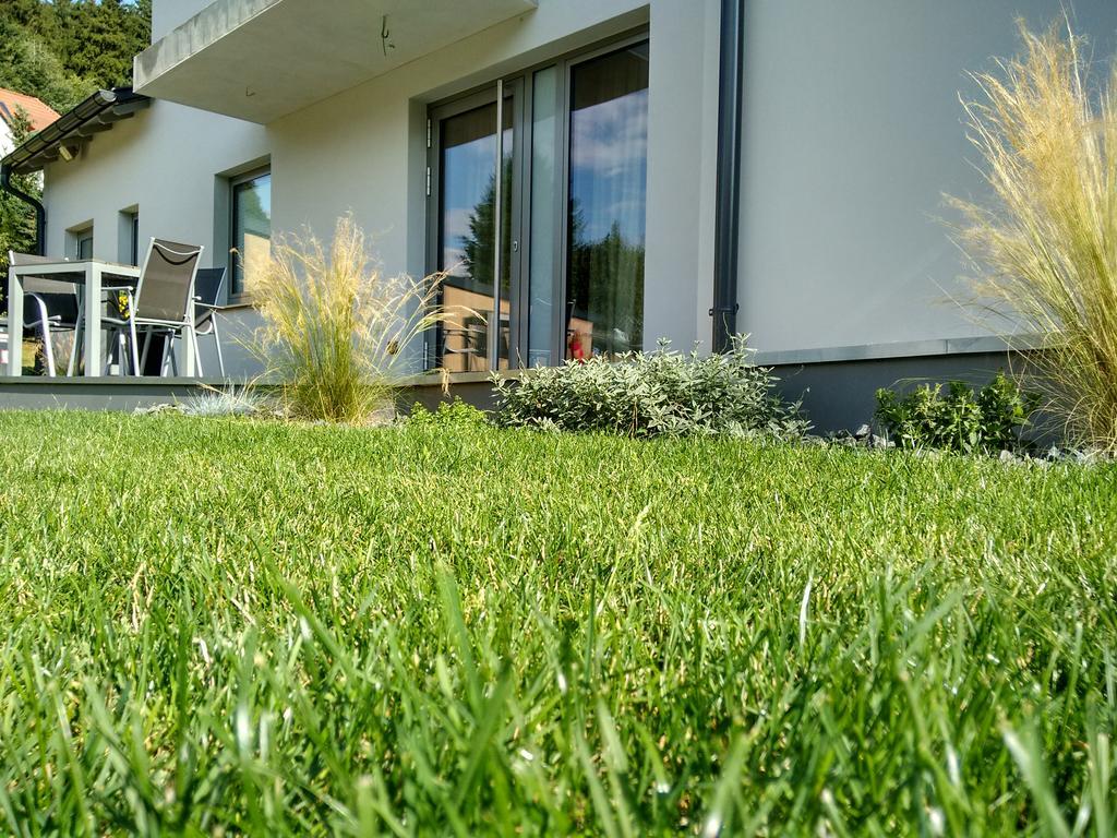 Apartment Haus Sembachtal Winterstein Luaran gambar